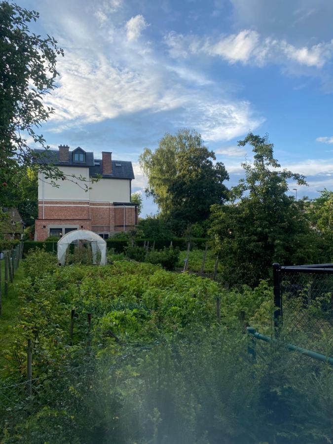 Nummer 151 Hasselt Eksteriør billede